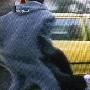 叙利亚武装分子袭击记者团 8人死亡数人受伤