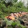 丹江口水库泄洪漫堤 武警荆门支队官兵紧急排险