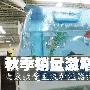 秋季销量激增 大众最爱主流加湿器推荐