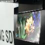 三星/LGCES2010展示最新OLED超薄电视