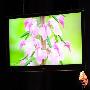CES2010:索尼展示LX900/HX900系3D电视