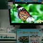 降8000元 海信3D电视LED55T29GP促销