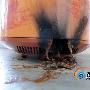 价值近千元紫砂电饭煲煮粥时爆炸[图]