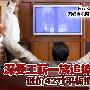 深受工薪一族追捧 低价42寸平板搜罗