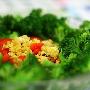 排毒减肥不用愁 9种蔬菜让你快速瘦身