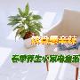 饮食忌辛辣 春季养生小家电全系推荐