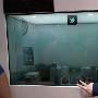 三星展示光源推动的大形透明LCD屏幕