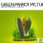YouTube 收购 Green Parrot Pictures