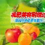 减肥美容别错过 用榨汁机做养生果汁