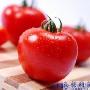 春季养生禁忌：九种美食吃时要当心