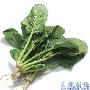 饮食搭配很重要 十种蔬菜春季应多吃