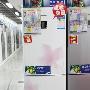 三星新两门冰箱上市 秀美身材受关注