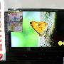 首破5000元 东芝40BF1C液晶清仓甩卖