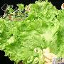 改善皮肤有妙招 8种水果助你远离暗沉