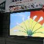 32寸LED底价甩 康佳液晶电视9月报价