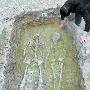 三星村发现一夫妻墓葬 携手同眠4200年
