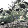 首届中国成都国际“非遗节” 57国来捧场