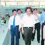 山东省委书记李建国视察菏泽曹州牡丹园