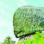 自然的神奇造化——天池山飞来石