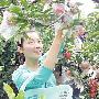 山东菏泽首个生态农业观光园近日开园