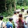 震不垮的雅安旅游 百日后奇迹般崛起