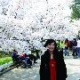 青岛中山公园樱花绽放 吸引来十万赏樱游客