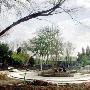 津城水上公园或提前免费开放 古法今用“以谷养树”