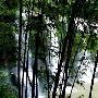 神秘赤水——瀑布与竹的传说