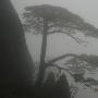烟雨迷离黄山游