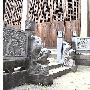 徽州、黄山六日游（二）