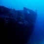 菲律宾长滩岛潜水记-潜水日志二