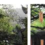 杭州两日、上海一日游