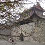谁不说俺家乡美6：徜徉在湿润之中C