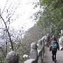 谁不说俺家乡美5：驾鹤山、小桃源D