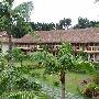 放飞在Cebu & Bohol 照片一