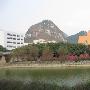 谁不说俺家乡美1：人面桃花相映红（上）