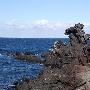 济州岛游记part2