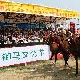 那达慕大会