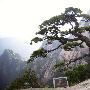 黄山美景，永驻心田