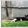 盛夏光年