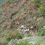 全程徒步虎跳峡之二（惊骇虎跳夜）