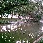 桂林阳朔兴安自助游备考(3)之兴安