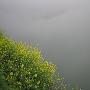 春天的古徽洲1-烟雨渔梁