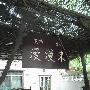 不倒和不吃的甘南川北＋泸沽湖（成都－西昌－盐源）
