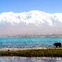 2006年金秋13天自助经济喀什、卡拉库里湖、冰川之父慕士塔格峰、喀纳斯、禾木
