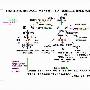 06年初绍兴、新昌、诸暨自助游计划（附计划功略图）待续...