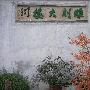 正月初四，东山寻梅，未果