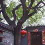 北京老街 “胡同”游线路推荐(图)