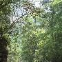 贵州金沙冷水河避暑游，明信片级的美丽（照片）