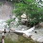 风情鼓浪屿